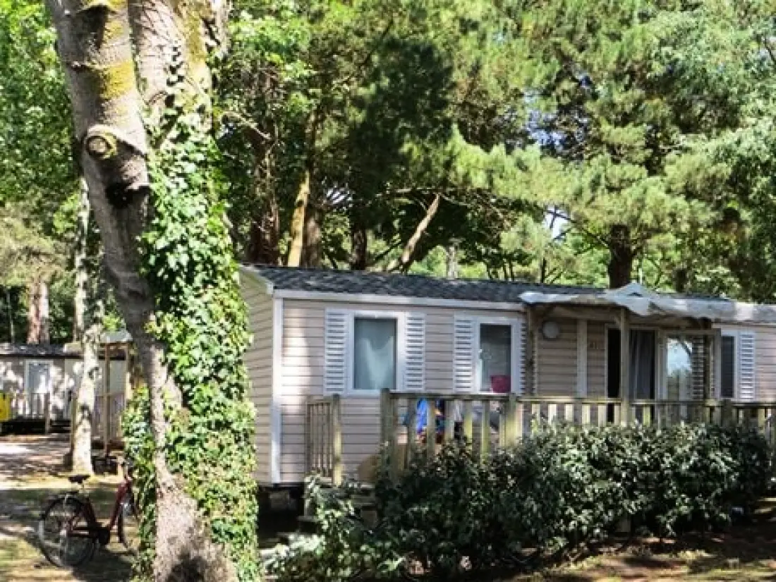 Campsite Les Ajoncs d'Or 4 Stars★★★★