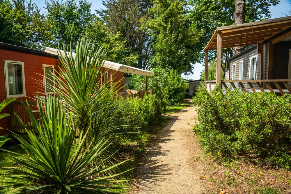 Campsite Les Ajoncs d'Or 4 Stars★★★★
