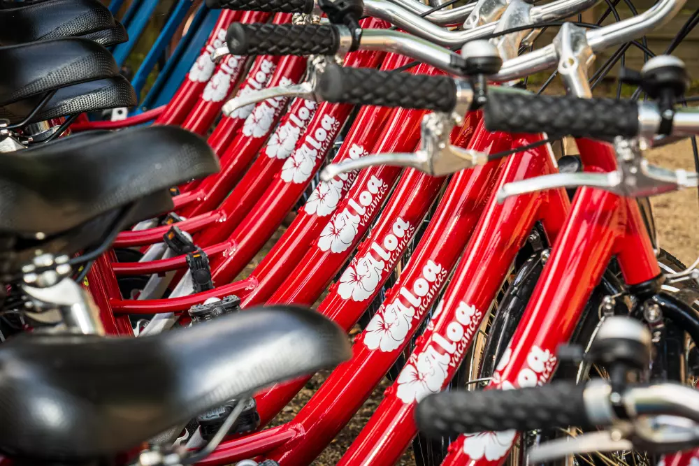 Campsite Les Ajoncs d'Or 4 Stars★★★★