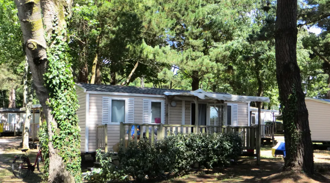 Campsite Les Ajoncs d'Or 4 Stars★★★★