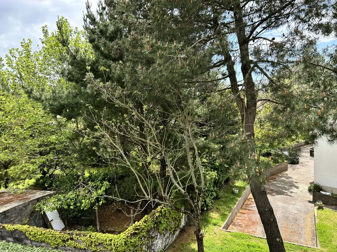Residence Caz-66-la Baule Escoublac