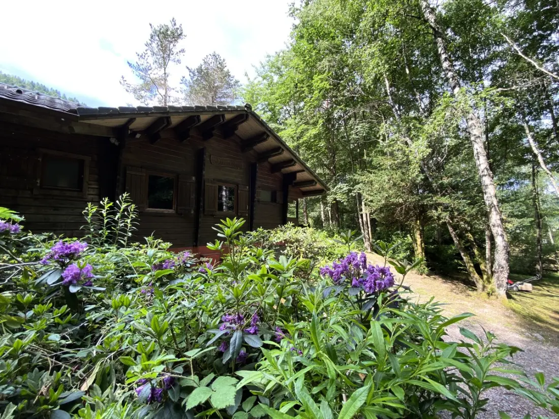 Chalets in La Bresse