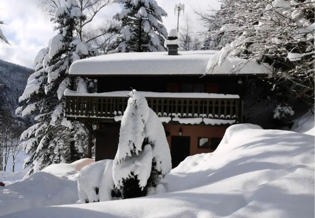 Chalets in La Bresse
