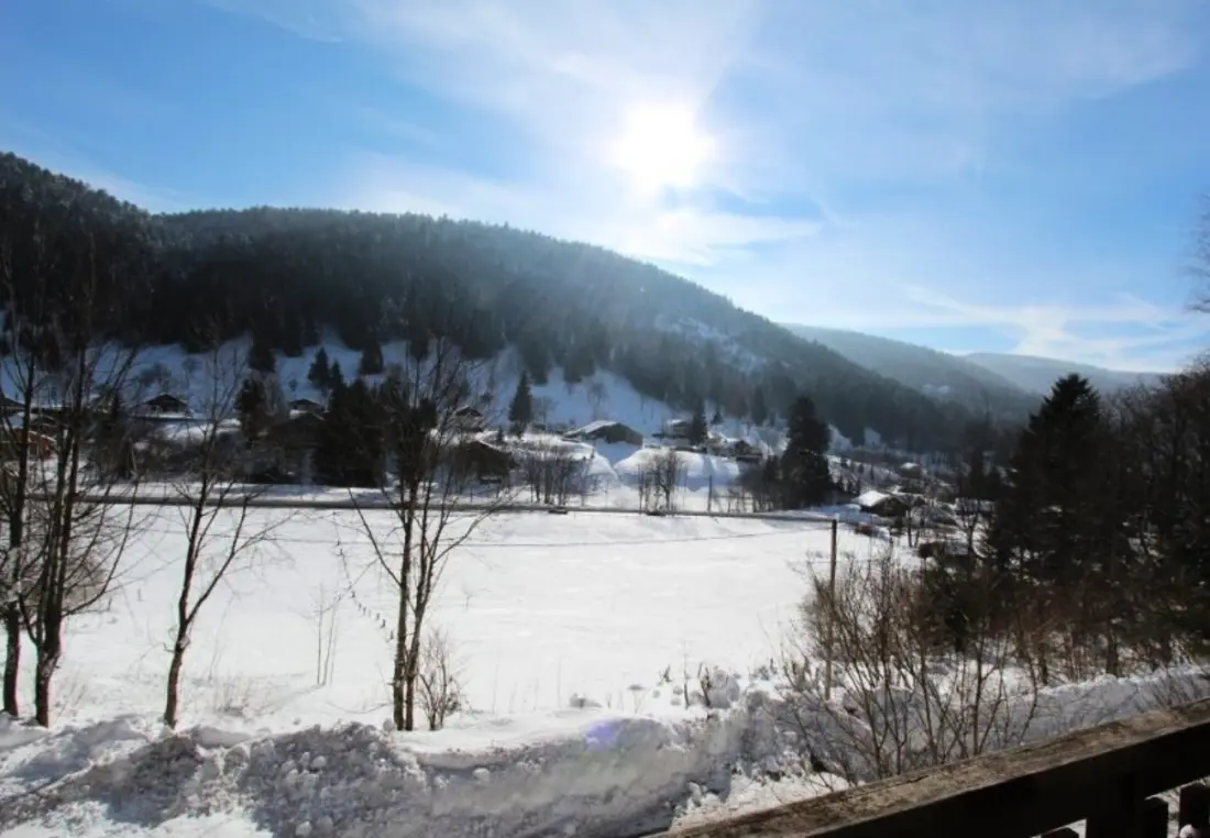 Chalets in La Bresse