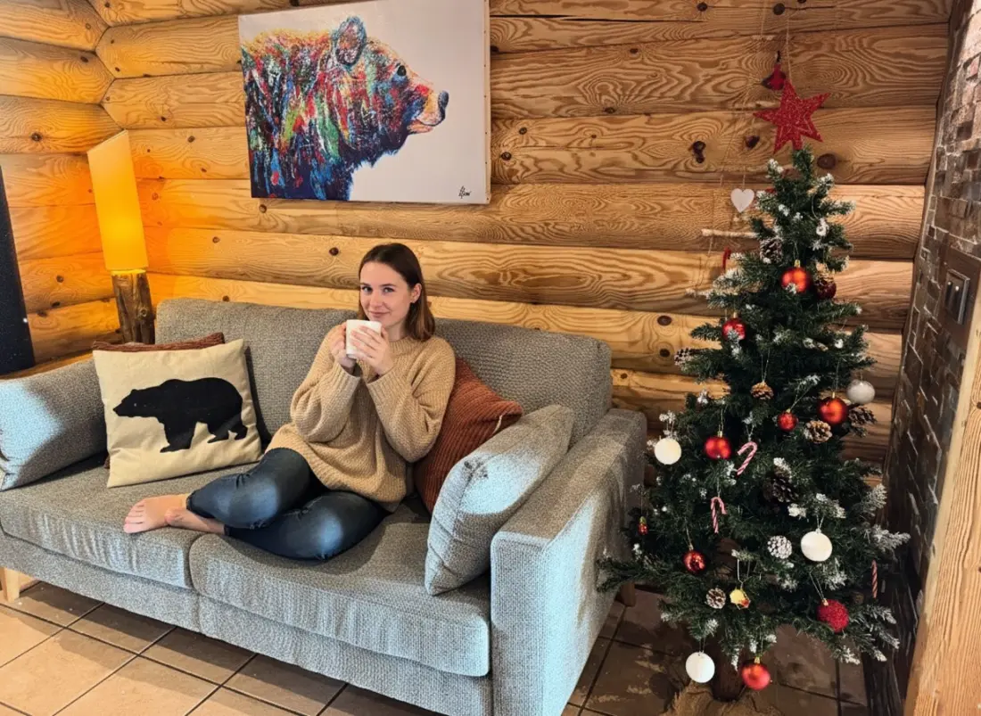 Chalets in La Bresse