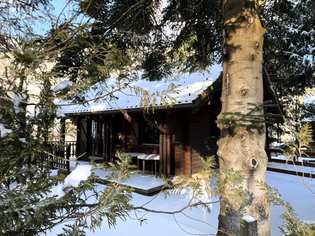 Chalets in La Bresse