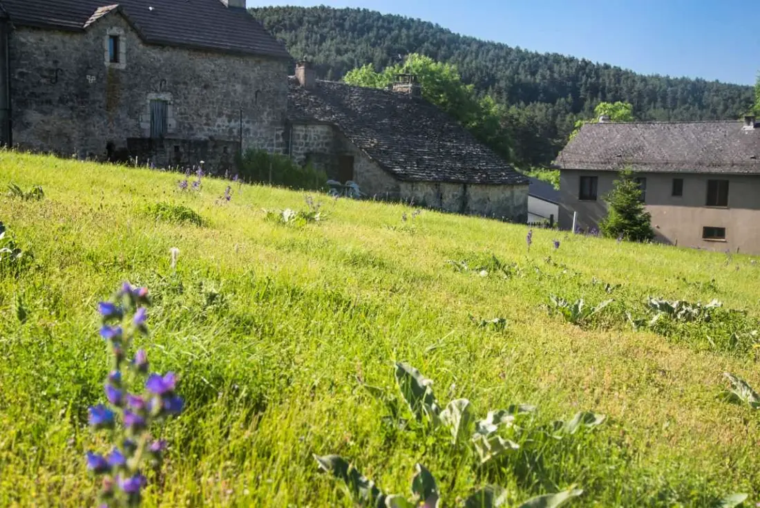 Gîte de France Gîte la bergerie au domal 3 Ähren