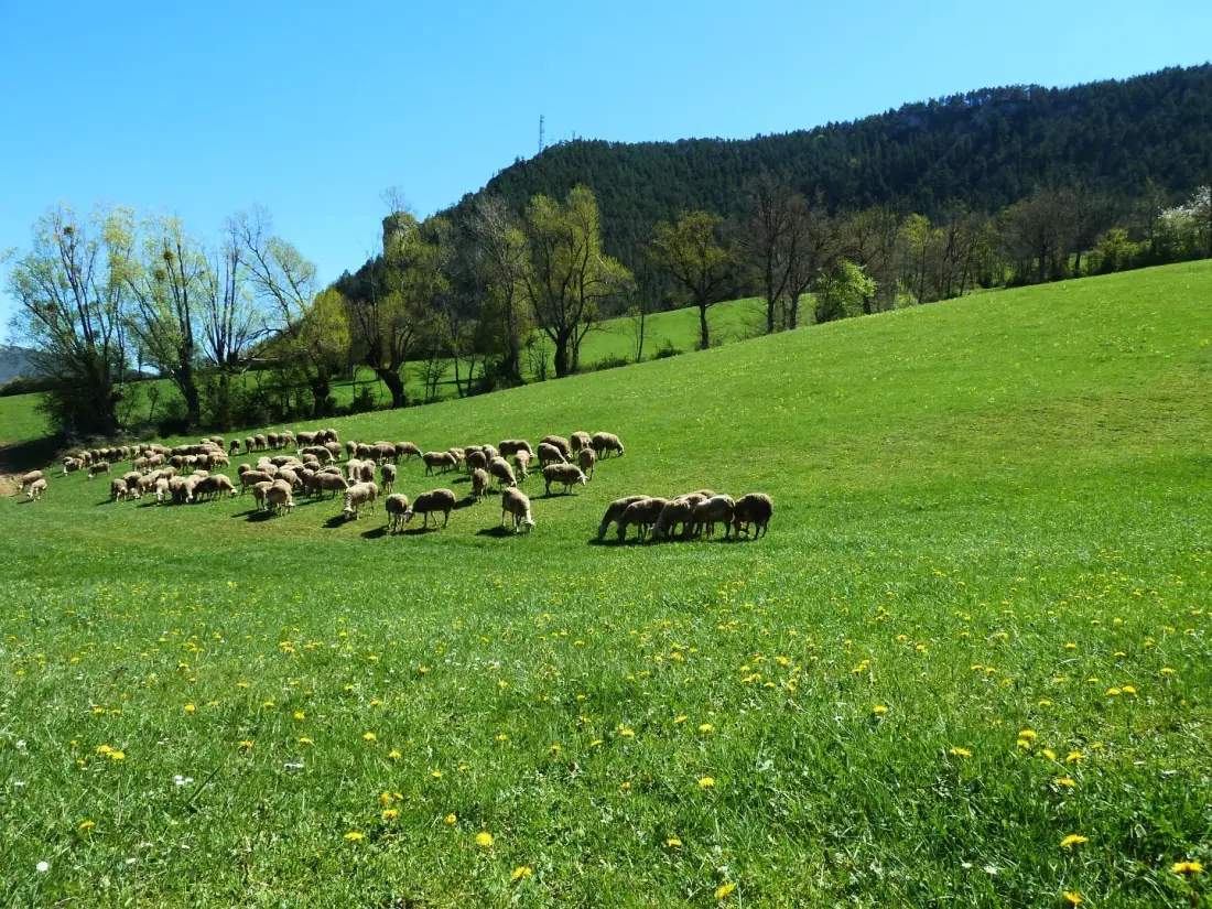 Gîte de France Gîte „Natur“ 4 Ähren