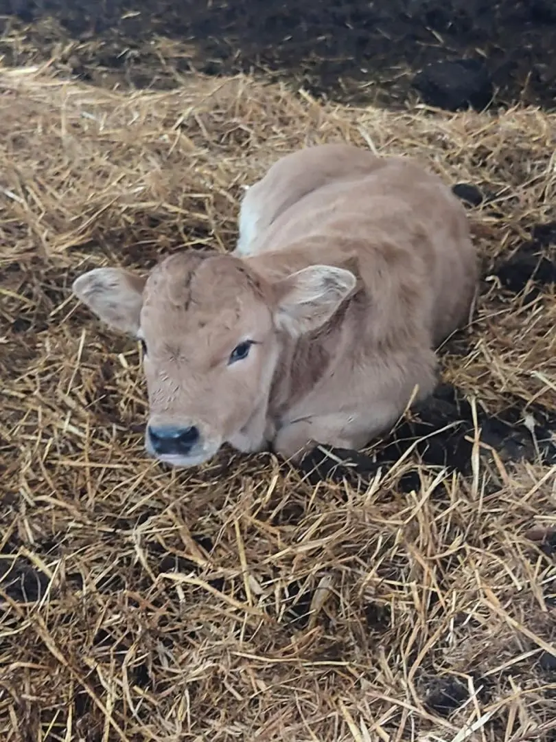 Gîte de France Gîte „Natur“ 4 Ähren