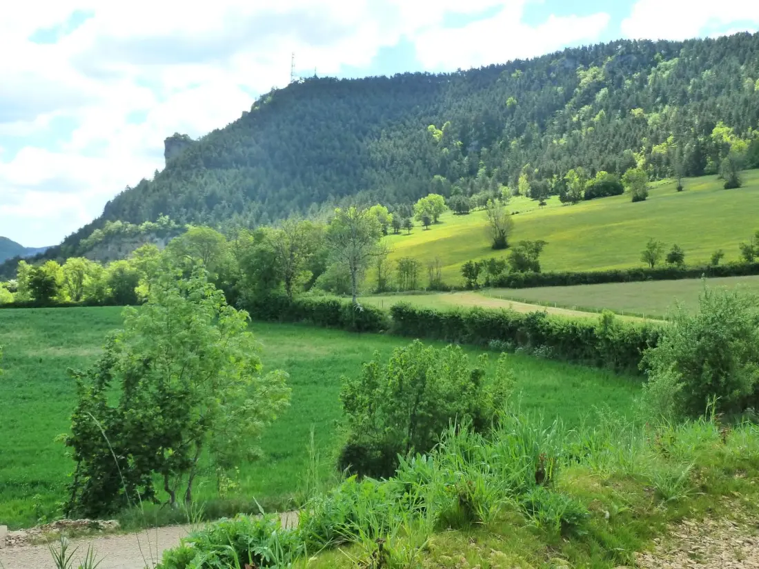 Gîte de France Gîte „Natur“ 4 Ähren