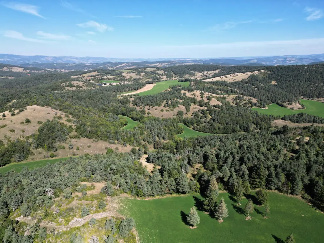 Gîte de France Gîte les bois 2/3 Personen à conques 3 Ohren