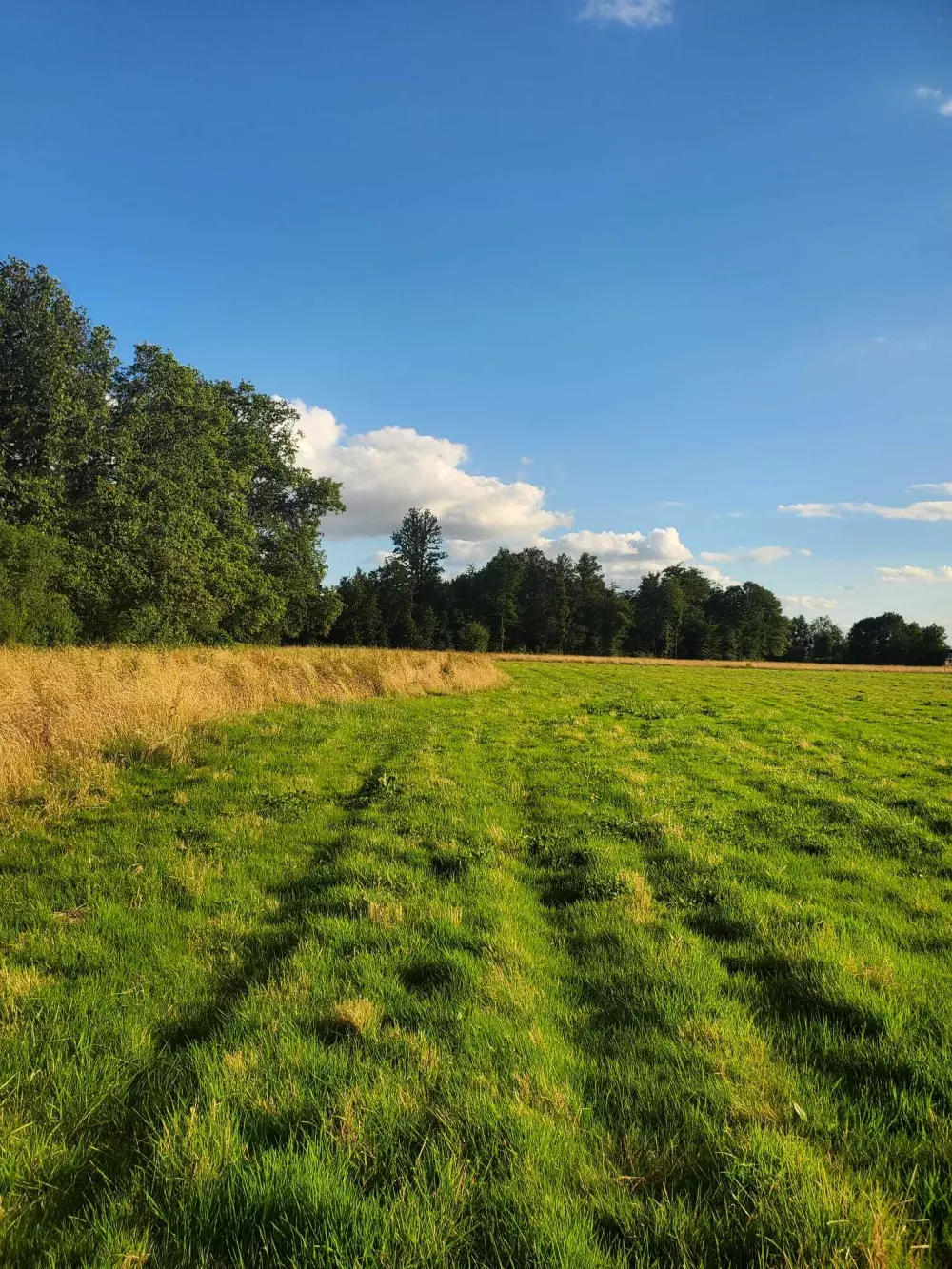 Ruban Garden - Parcel Tiny House