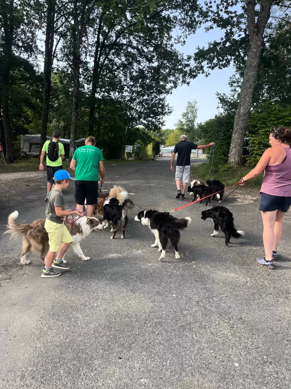 CAMPING LA FAGE 4 Stjerner★★★★