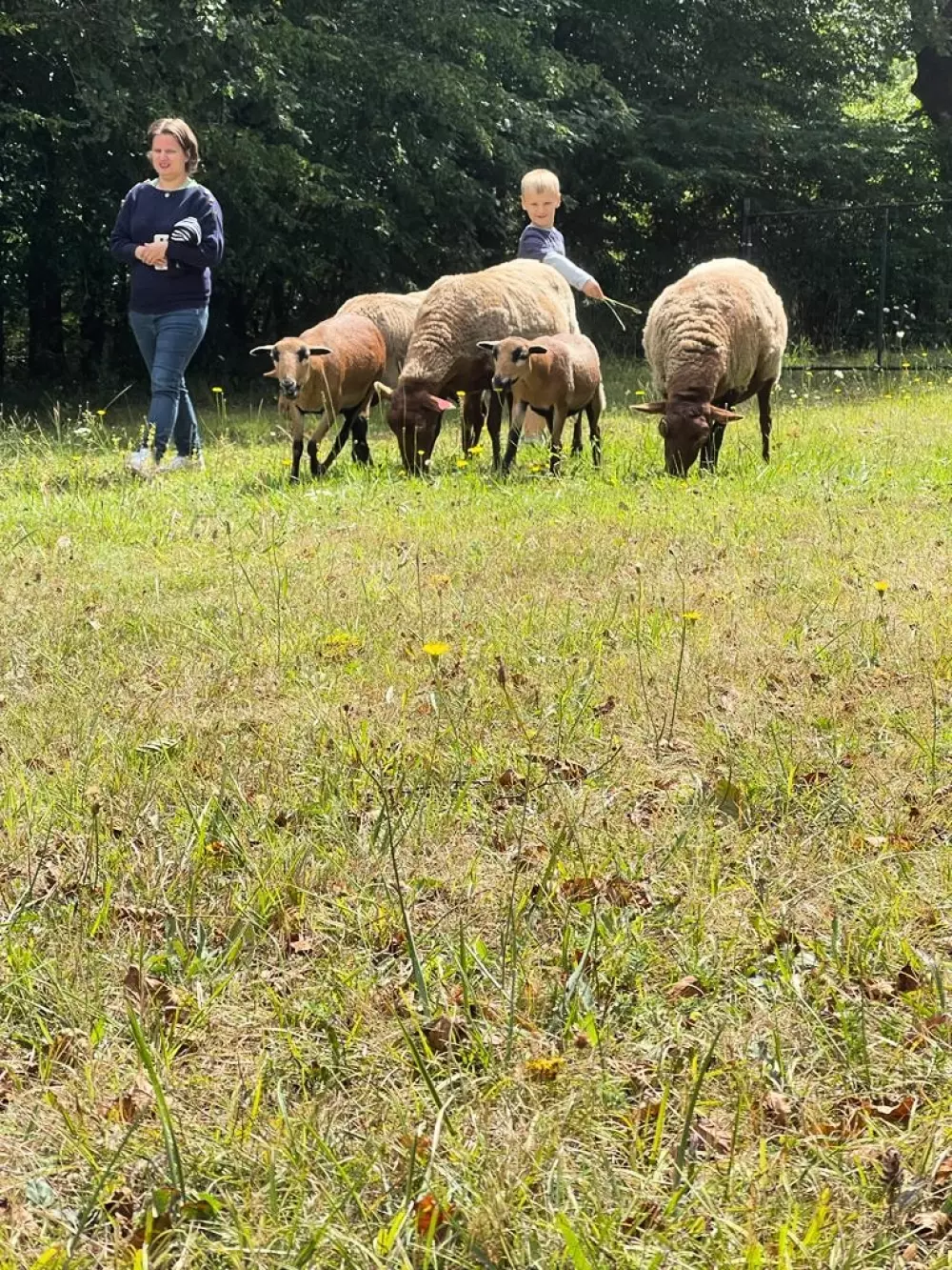 CAMPING LA FAGE 4 Stjerner★★★★