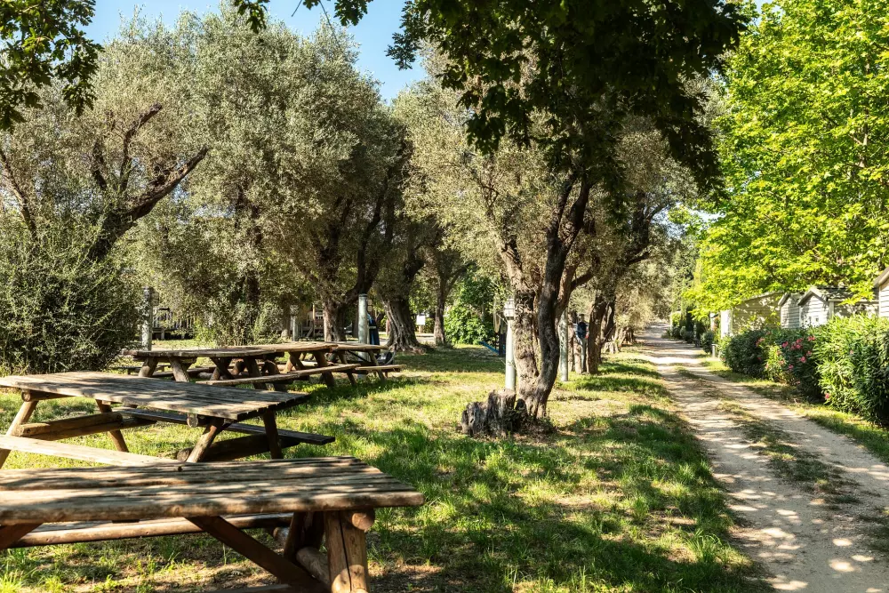 Camping La Baie des Anges 4 Sterren★★★★