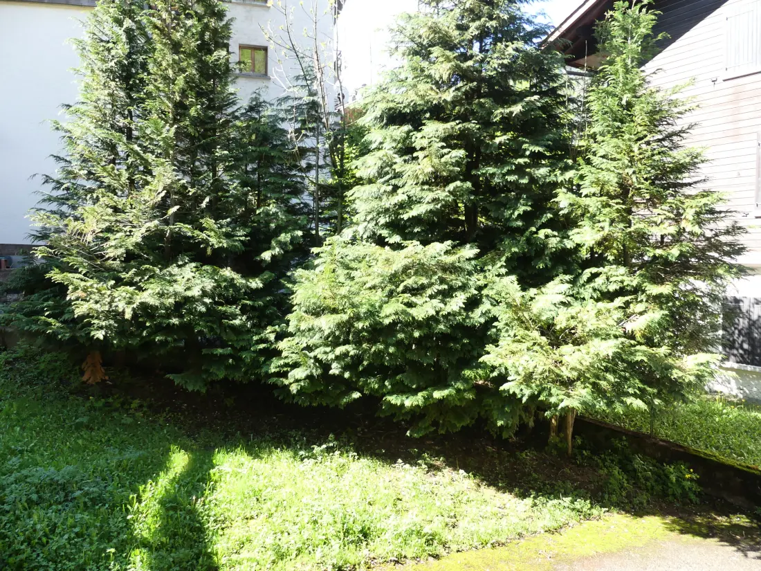 Apartmanok La Clusaz