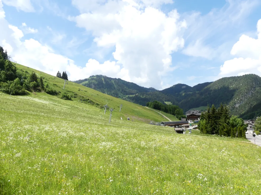 Chalets in La Clusaz