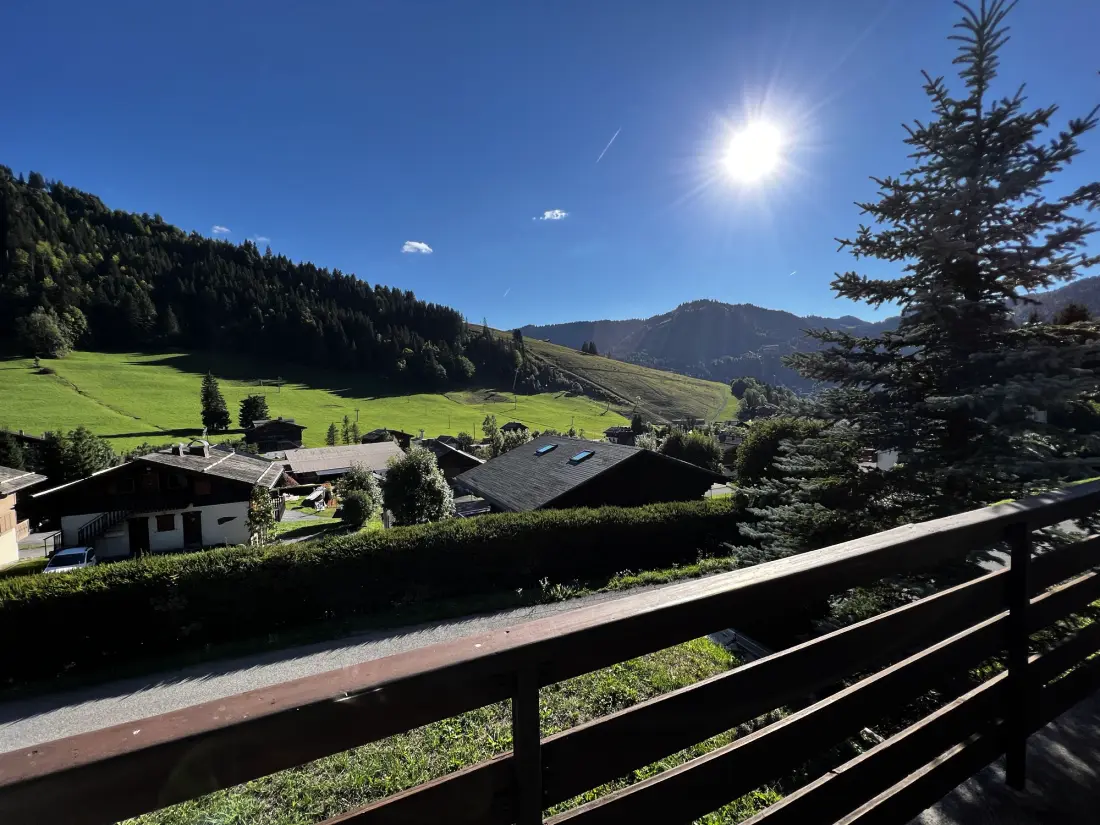 Chalets in La Clusaz