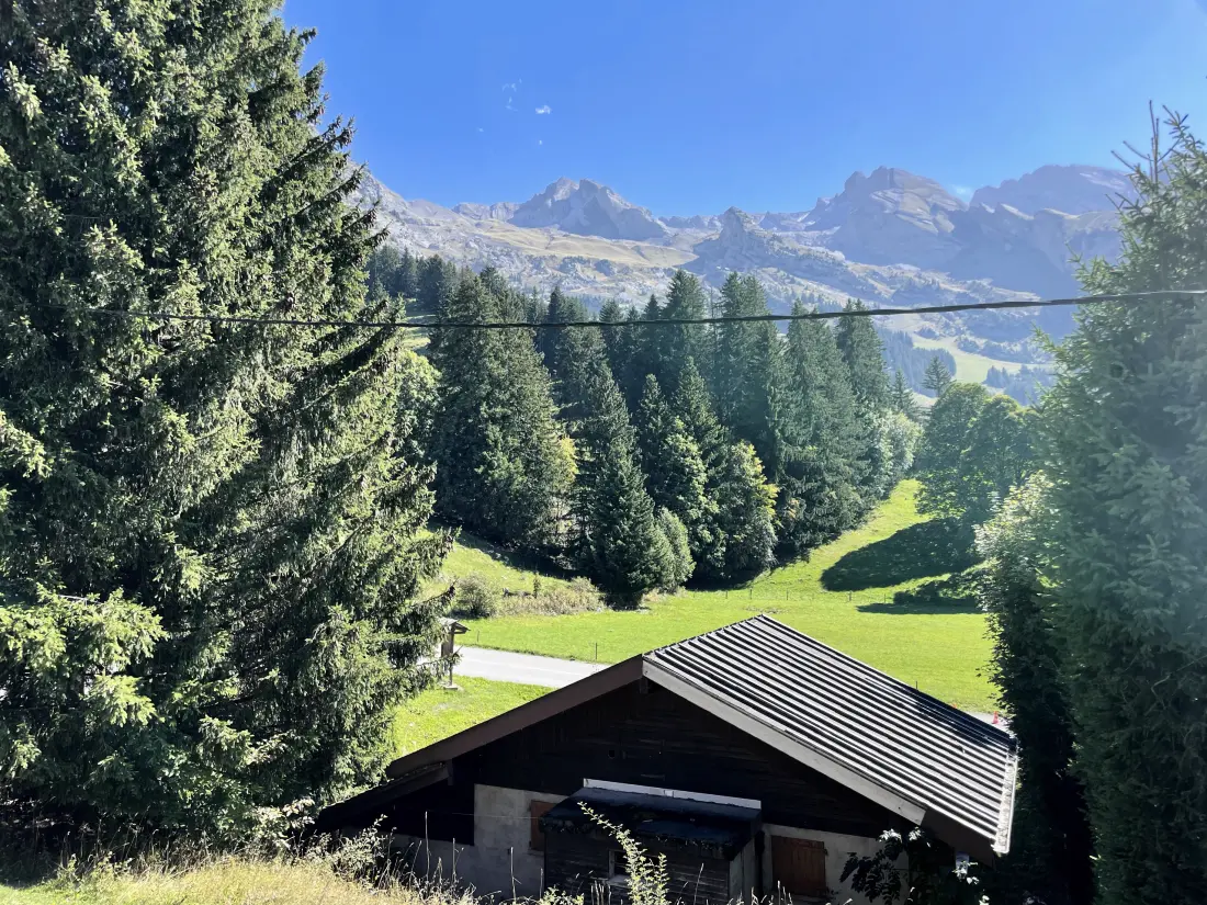 Chalets in La Clusaz