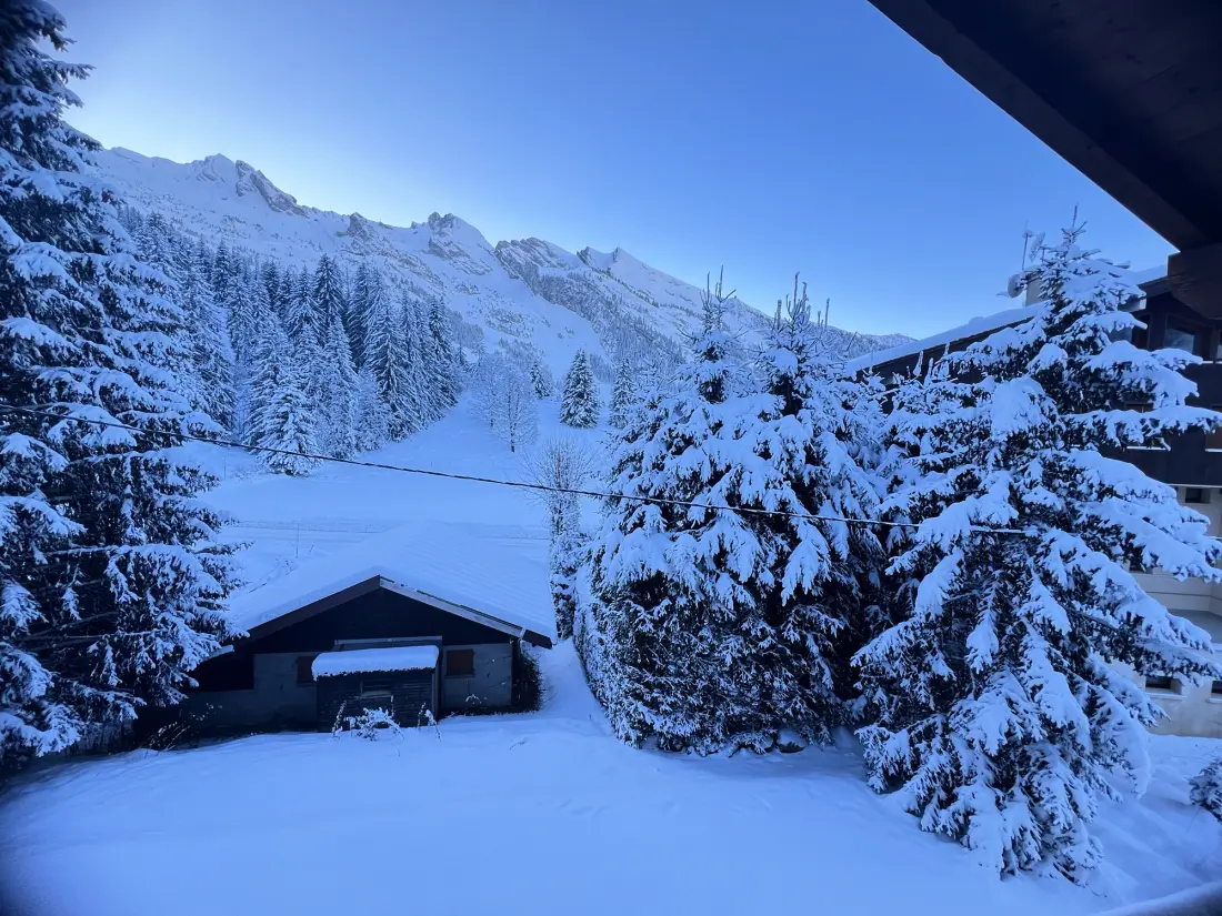 Chalets in La Clusaz
