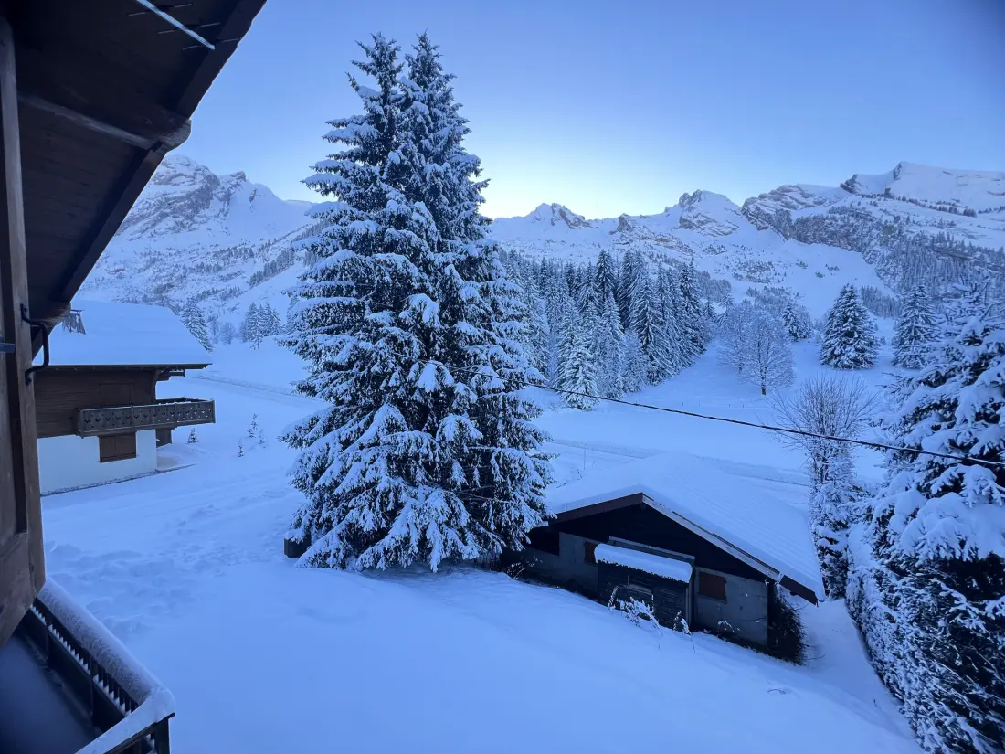 Chalets in La Clusaz