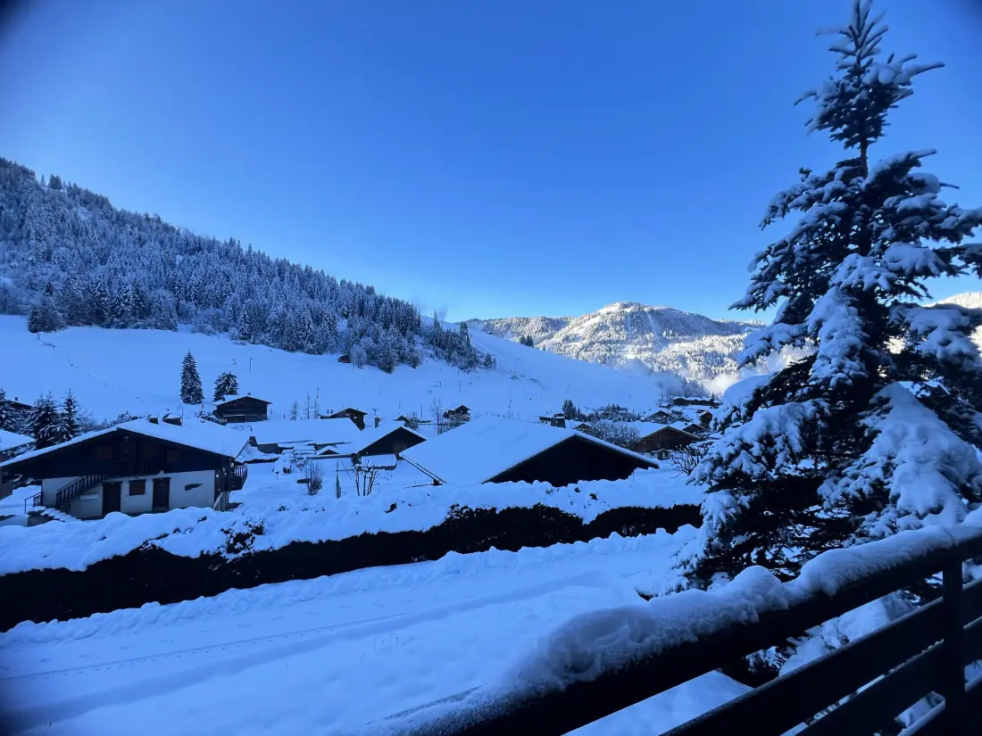 Chalets in La Clusaz