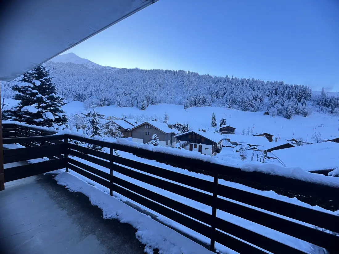 Chalets in La Clusaz
