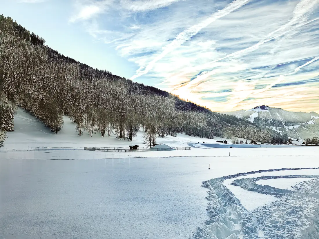 Chalets in La Clusaz