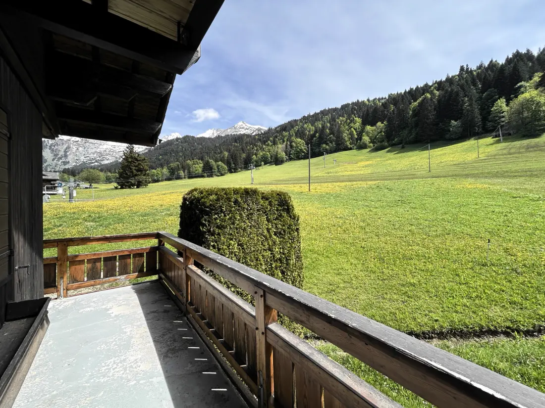 Chalets in La Clusaz