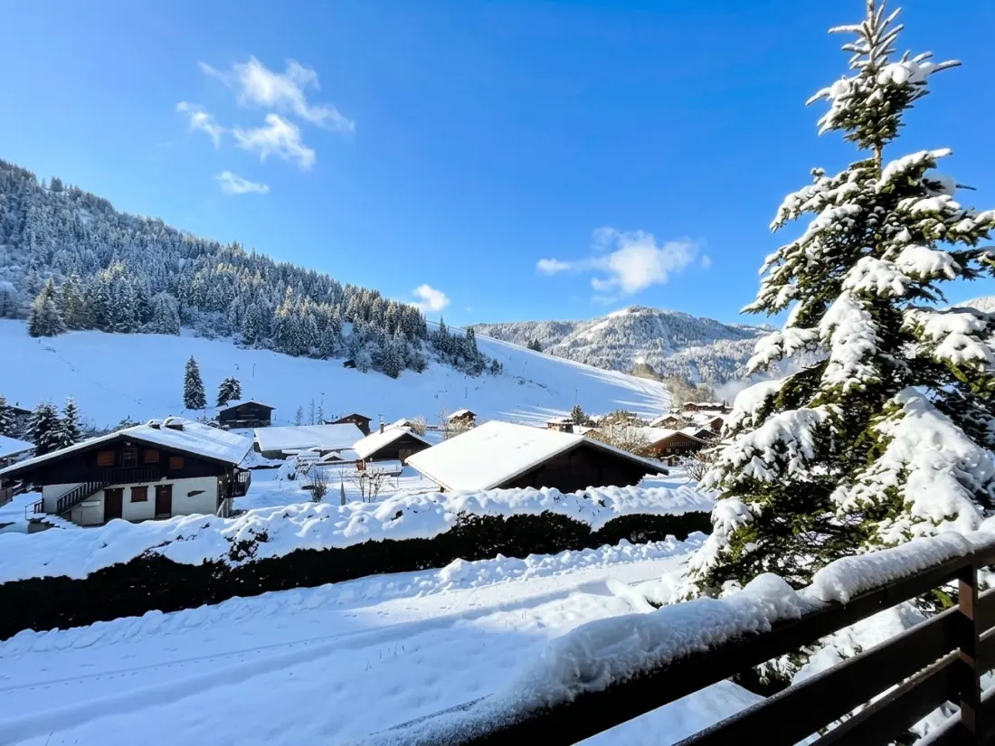Chalets in La Clusaz