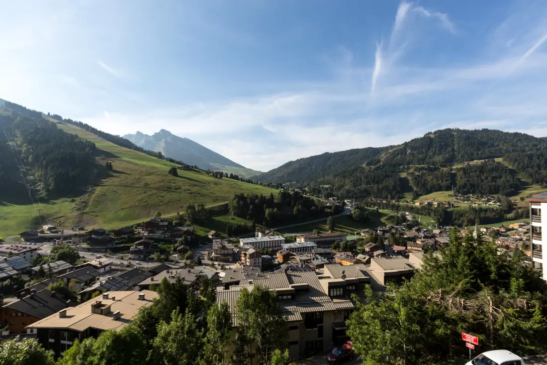 Residence Aiguille Verte