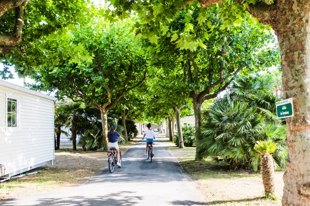 Camping L'Océan & Spa 5 Stjerner★★★★★