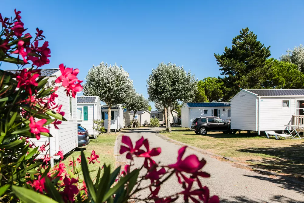 Camping L'Océan & Spa 5 Stjerner★★★★★