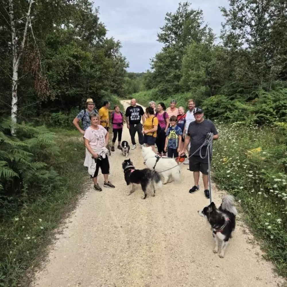 Campingplads Le Domaine du Bois Coquet Tæt på