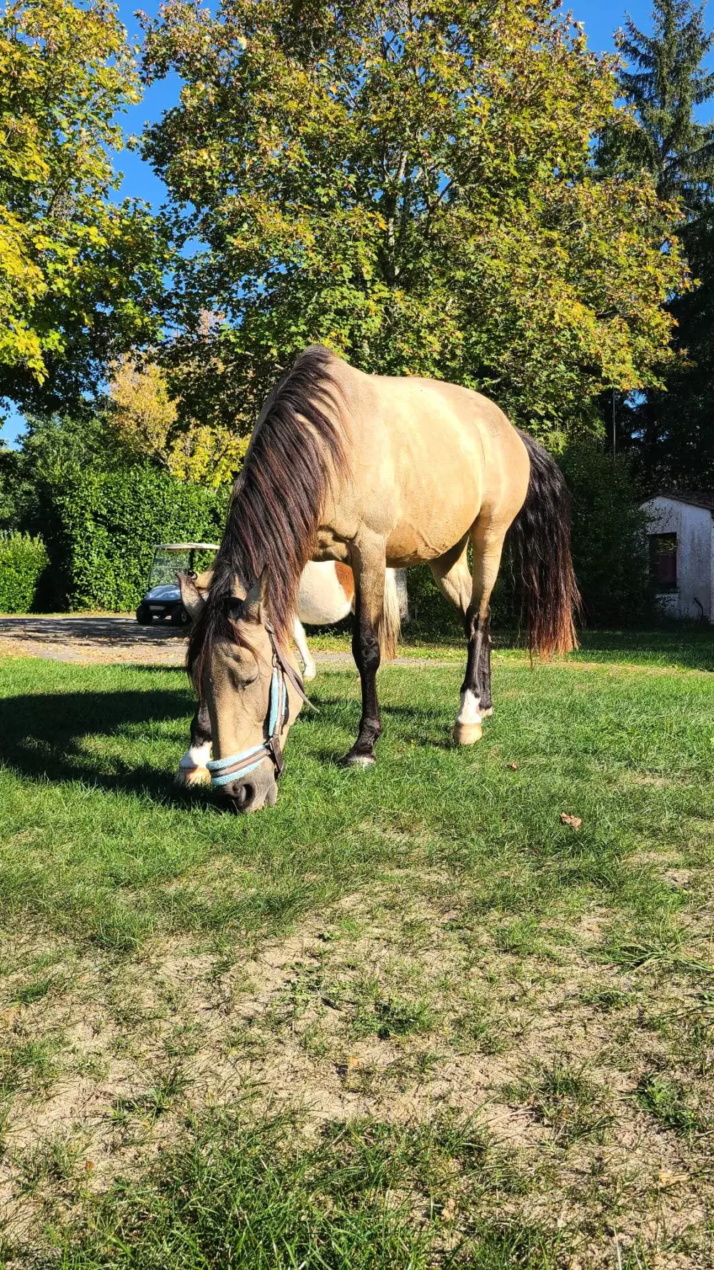 Campingplads Le Domaine du Bois Coquet Tæt på