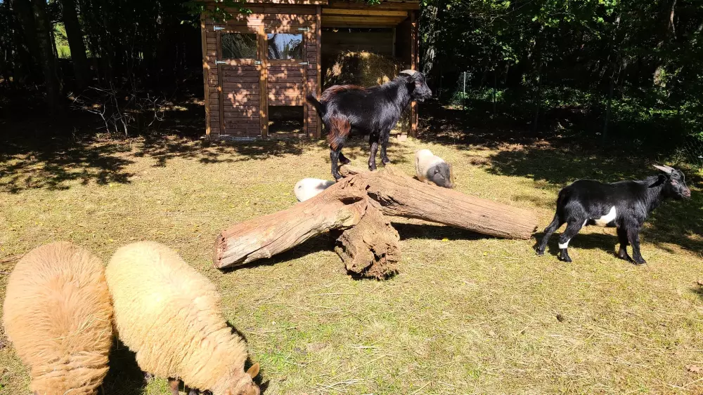 Campingplads Le Domaine du Bois Coquet Tæt på
