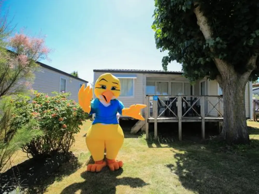 Camping Paradis - Le Grand R 4 Sterren★★★★
