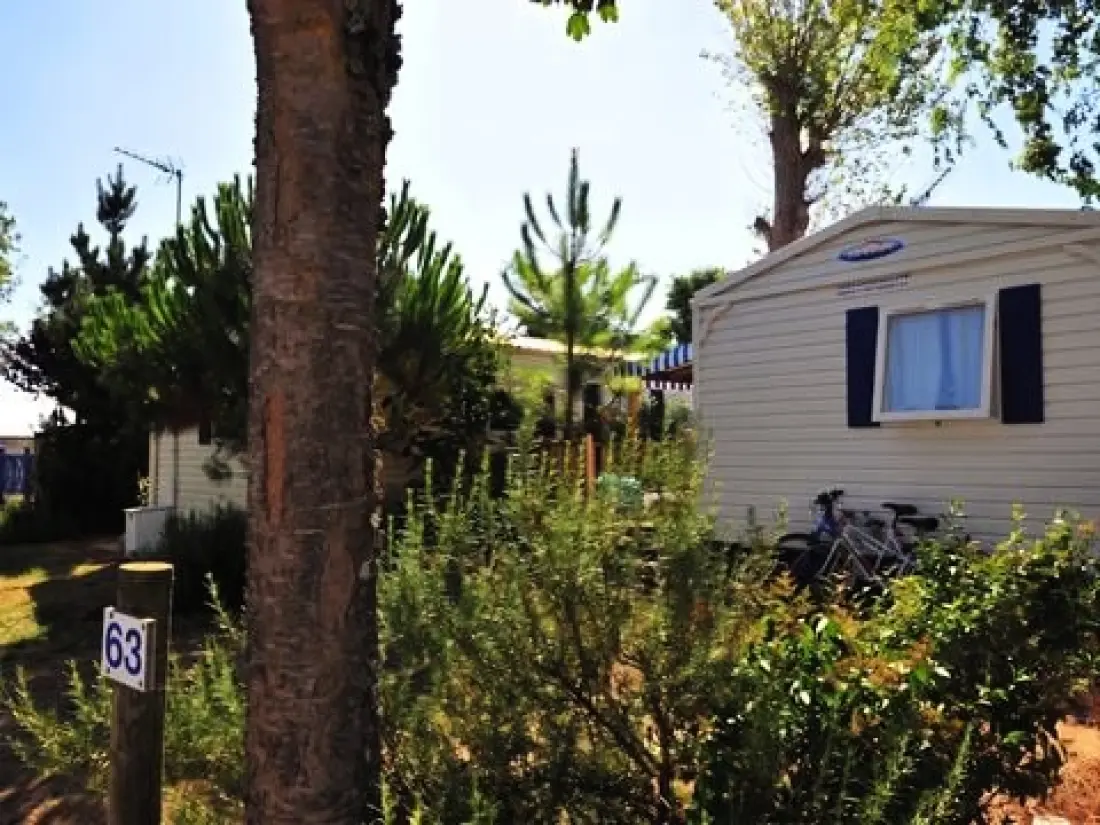 Camping Le Pavillon Bleu 3 Stjerner★★★