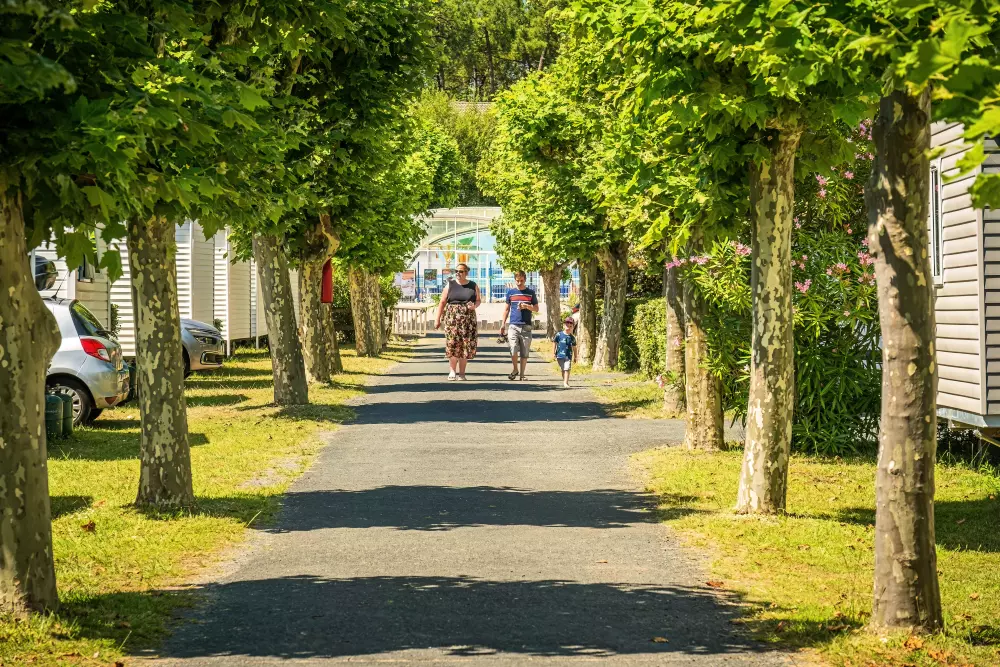 Camping Les Flots Bleus 4 Sterren★★★★