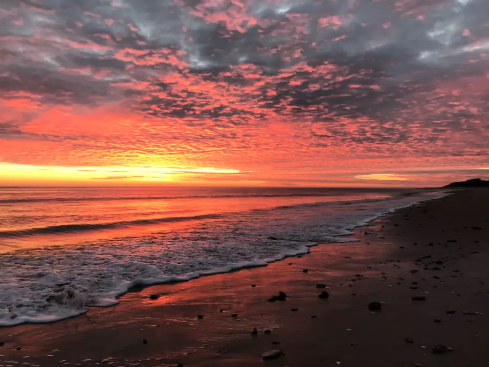 Camping LES VIOLETTES 4 Sterren★★★★