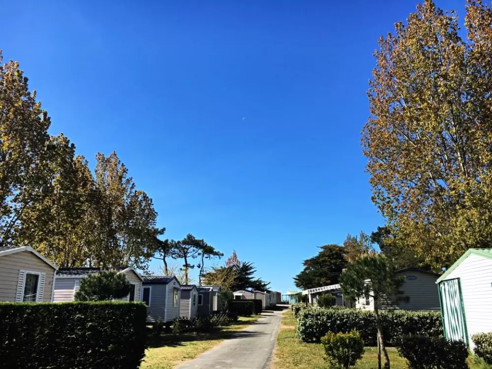 Camping LES VIOLETTES 4 Sterren★★★★