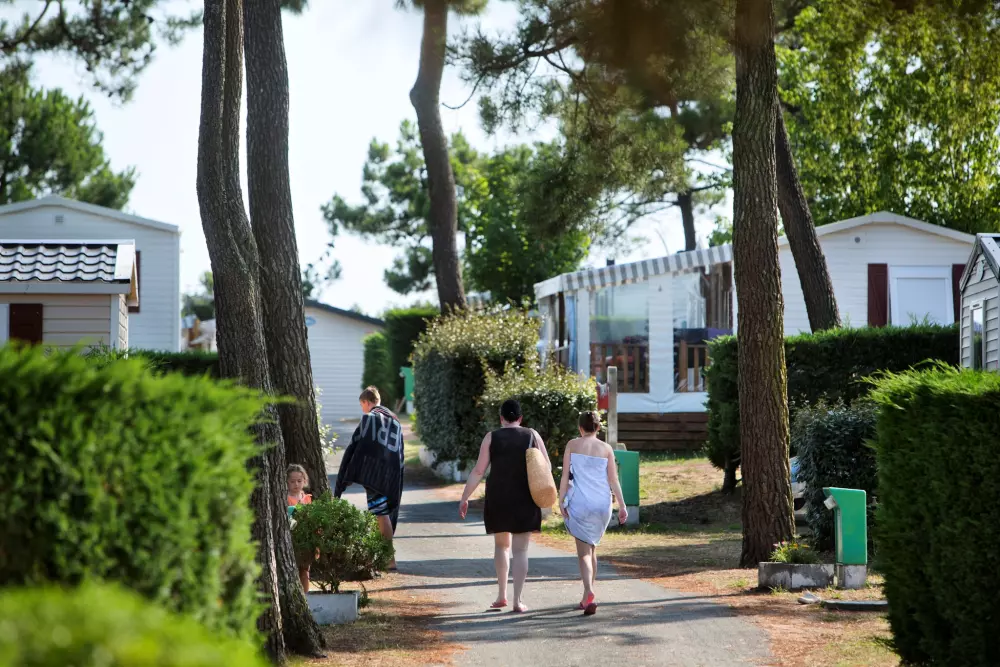 Camping LES VIOLETTES 4 Sterren★★★★