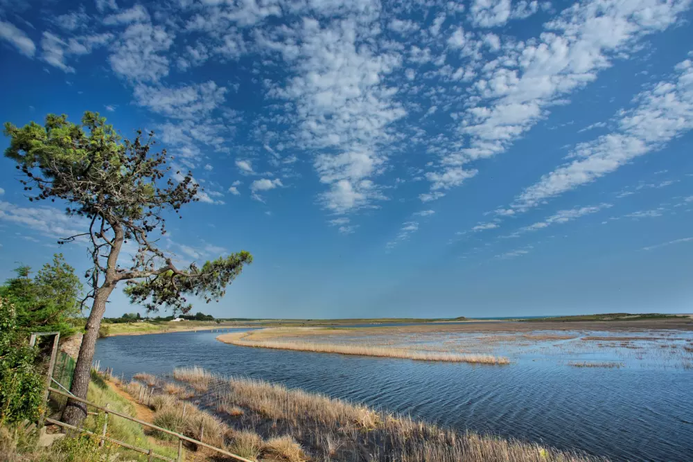 Camping LES VIOLETTES 4 Sterren★★★★