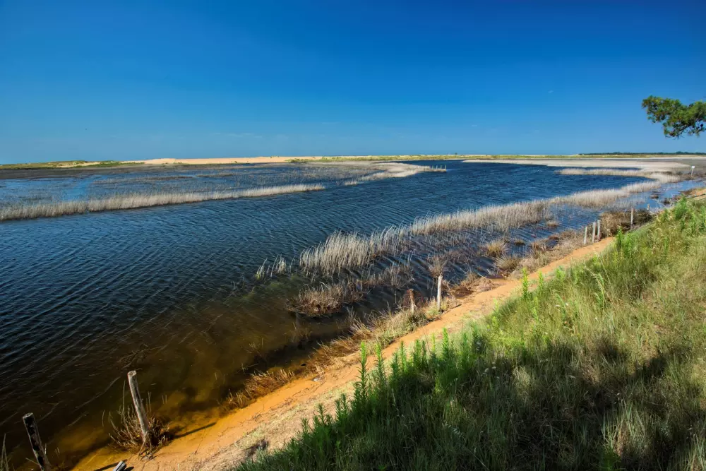 Camping LES VIOLETTES 4 Sterren★★★★