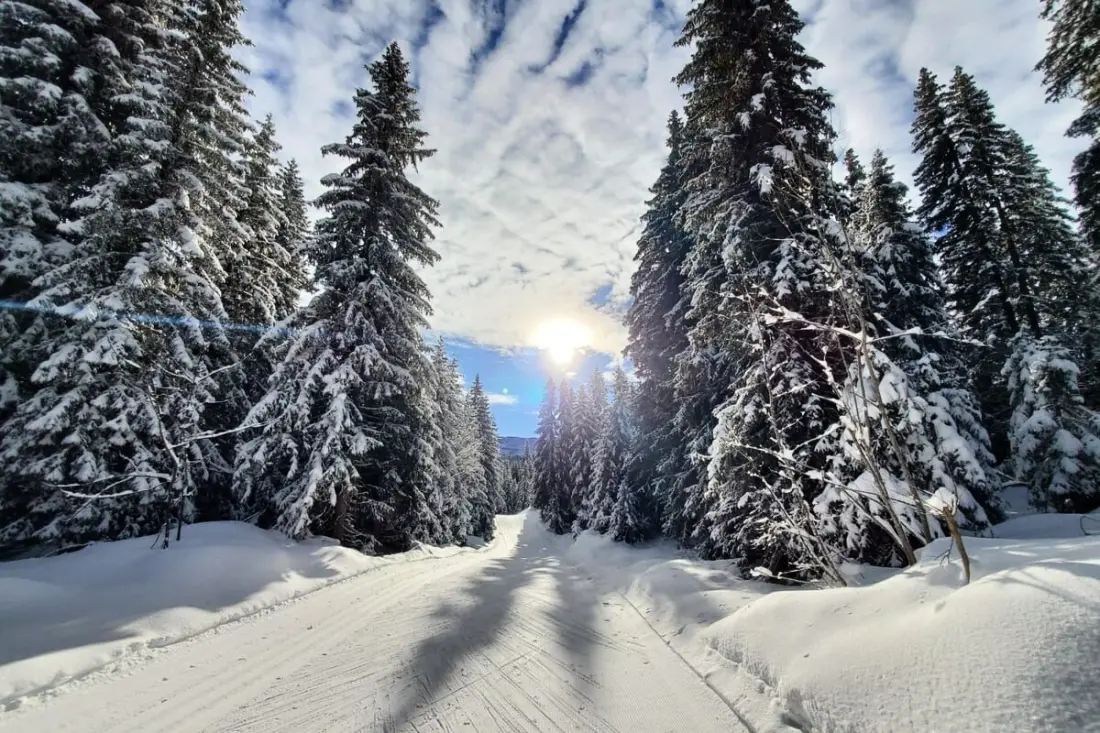 Apartman Cosy A "wapiti" a Pied des Pistes-ben