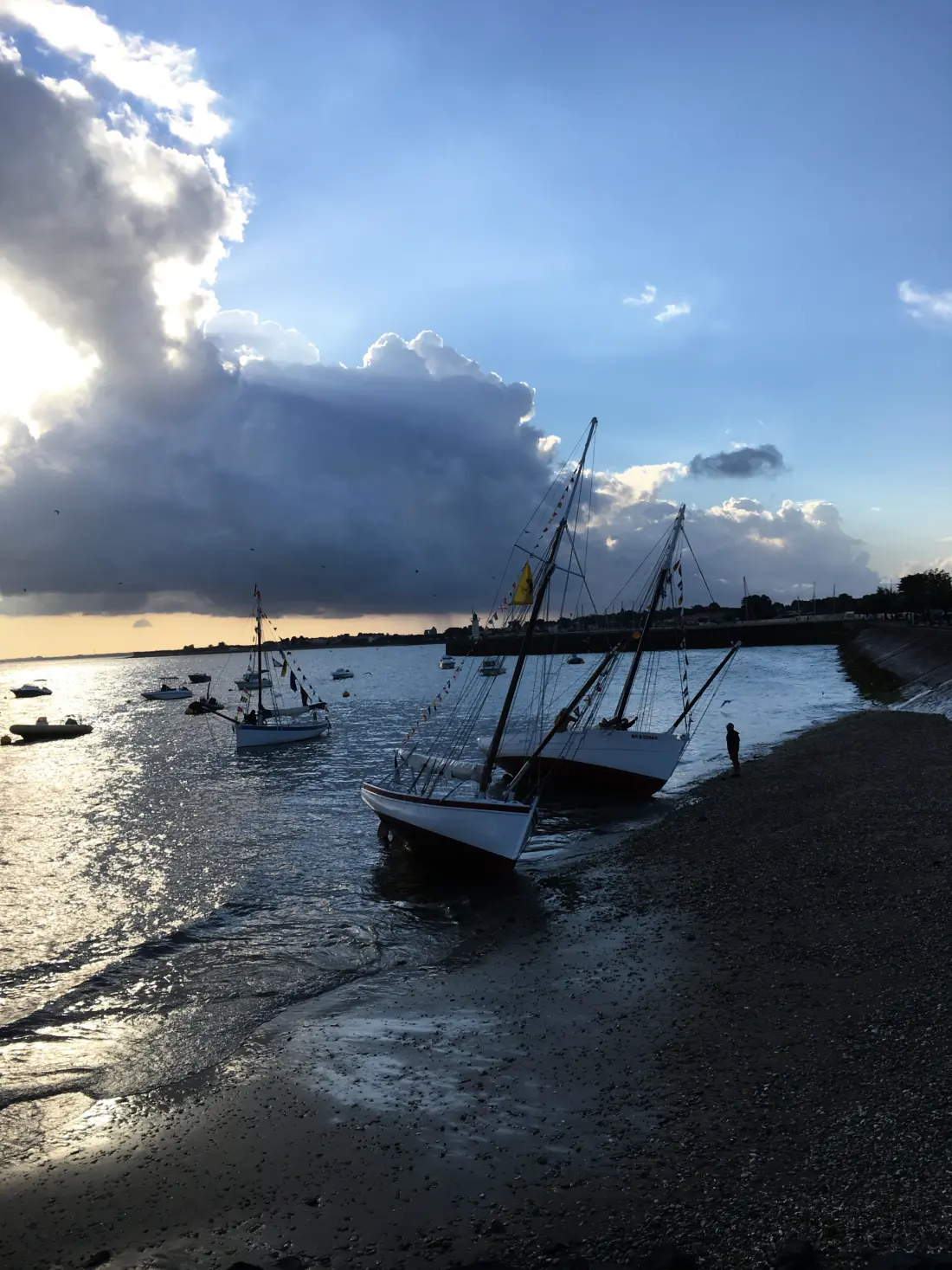 Lejligheder i La Flotte en Ré