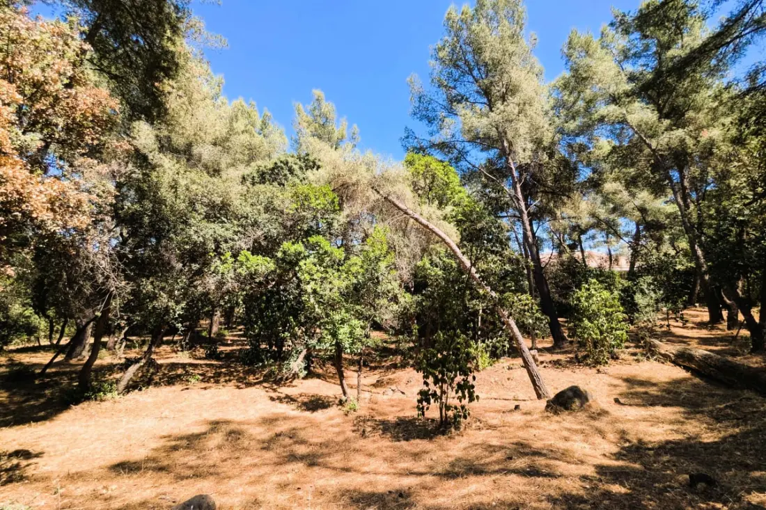 Ház Nagy Private Park 4000 M2