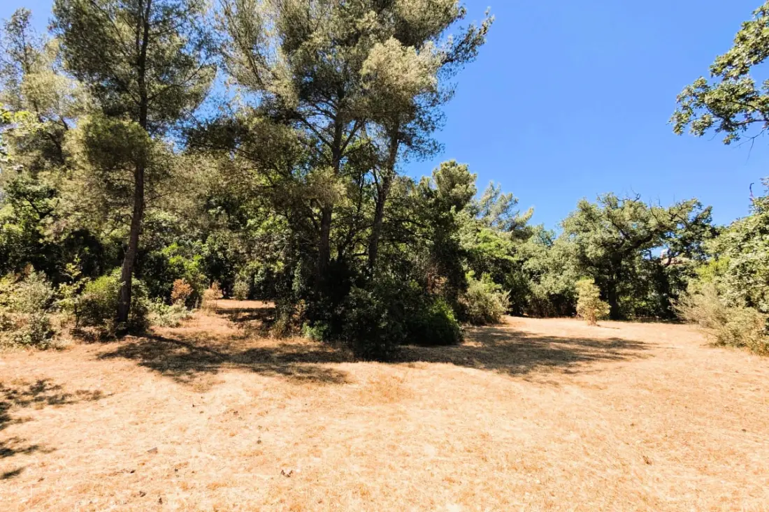 Ház Nagy Private Park 4000 M2