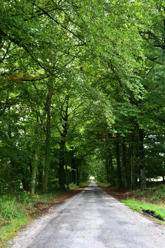 Gîte de France Het herdershuis 3 oren