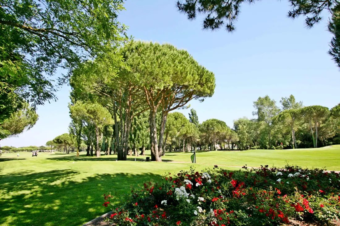 Villegiales Tee2